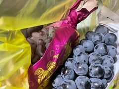 -马陆小张葡萄园农家乐