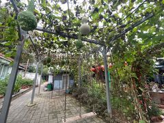 -姥家大锅台水库渔家