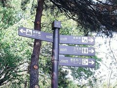 -香山公园