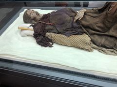 -巴音郭楞蒙古自治州博物馆