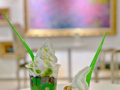 -Salud撒露欧洲冻酸奶(798艺术区店)