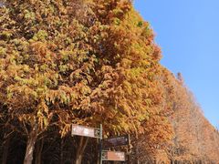 -捞渔河湿地公园