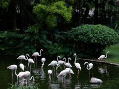 -九龙公园