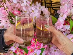 -香港威特瑞茶餐厅(小白楼音乐厅店)