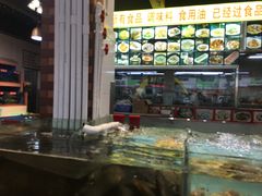 -皮记海鲜1995(寮步店)