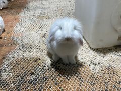 -海合安青岛极地海洋公园