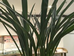 -皇城老妈火锅·川味传承(港湾店)