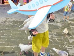 -茯茶镇