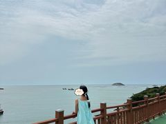 -枸杞岛