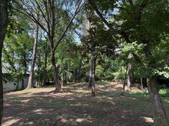 -苏州上方山国家森林公园