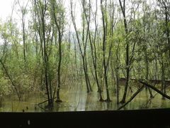 -西湖风景区-江洋畈生态公园