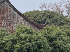 -观潮胜地公园