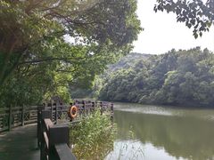 -白马涧龙池景区