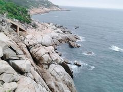 -广东惠东海龟国家级自然保护区