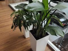 -上海星瀚奔驰4S店(红柳路店)