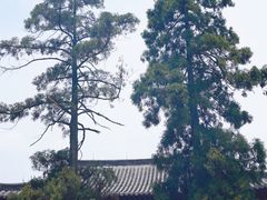 -径山寺