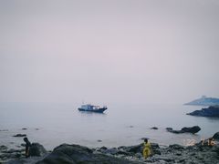 -花岙岛