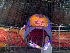 -俄罗斯国家大马戏团