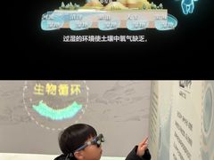 -中国湿地博物馆