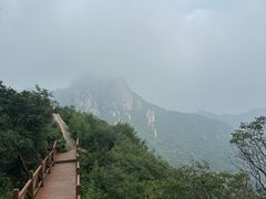 -大岭沟猕猴桃谷风景区