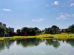 -洋湖国家湿地公园