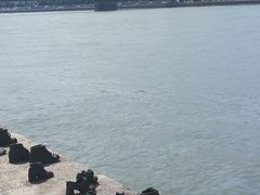 -多瑙河畔鞋履雕塑