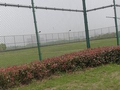 -苏州湾体育公园