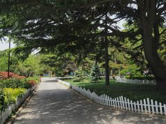 -青岛德国总督楼旧址博物馆