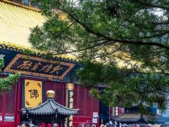 -普陀山慧济禅寺