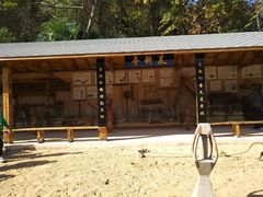 -千年银杏谷文化旅游区