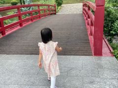 -羊山湖公园