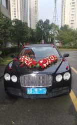 -宁波甬诚婚车(新典路店)