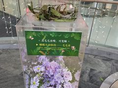 -LuOne凯德晶萃广场(徐家汇路店)