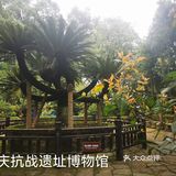 #重庆两日轻轨游•重庆抗战遗址博物馆#