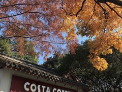 -COSTA COFFEE(西湖天地店)