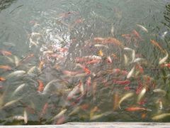 -北戴河圣蓝海洋公园