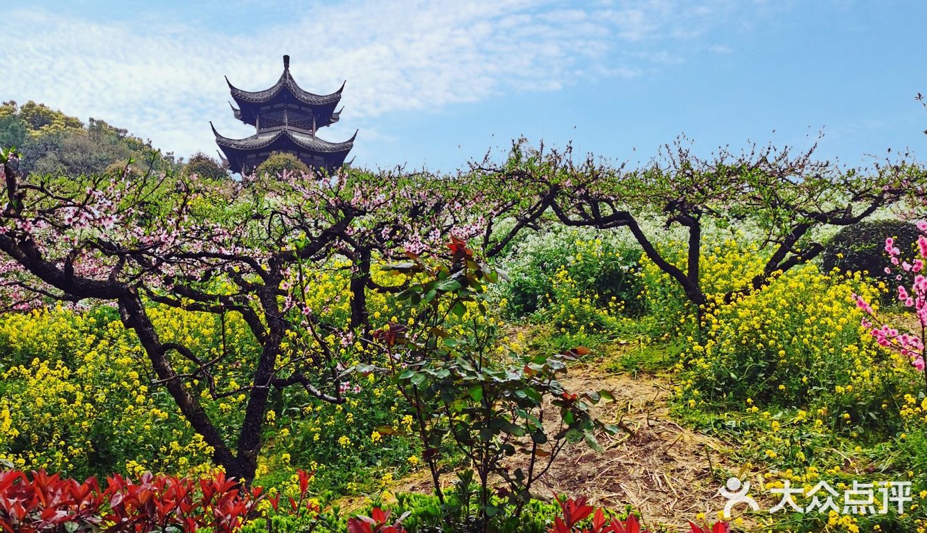 湖州最不容錯過的春花盡在城山溝