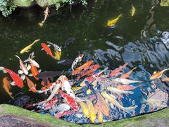-大连老虎滩海洋公园