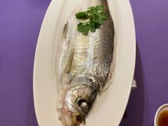 清蒸白水鱼-张福记(陇海中路店)