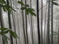 -西岭雪山大飞水景区
