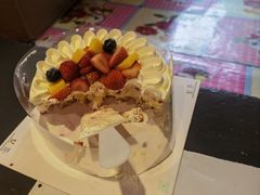 -维尔纳斯·生日蛋糕·动物奶油冰淇淋蛋糕(六里桥店)