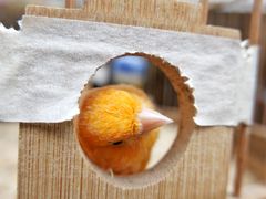 -Egg•Allday Brunch(襄阳北路店)