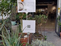 -六出私塾LiuChu•成人美术书法系统课程专业画室(熊婆婆的花园店)