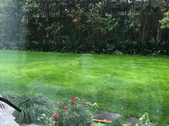 -老洋房花园饭店(绍兴路店)