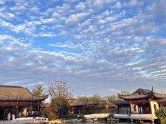 -上海滨江森林公园