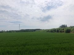-嘉北郊野公园