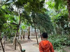 -呀路古热带植物园
