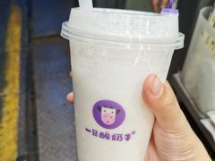 -一只酸奶牛(八一路店)