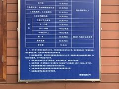 -崇海汽渡临永渡口