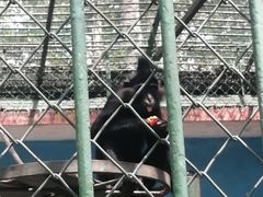 -秦皇岛野生动物园